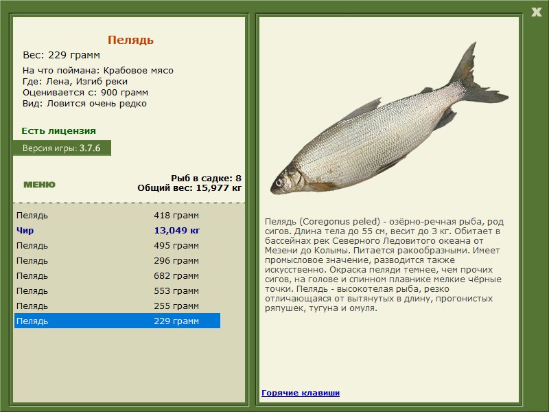 Изгиб реки 
