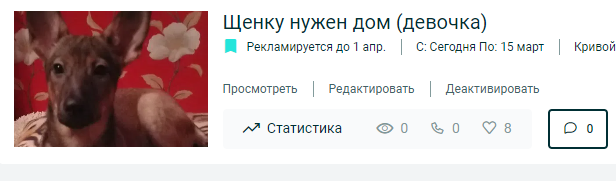 Финансовый отчет Кэтти (щенок с пироплазмозом) 