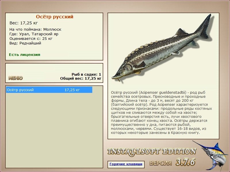 турниры • РУССКАЯ РЫБАЛКА