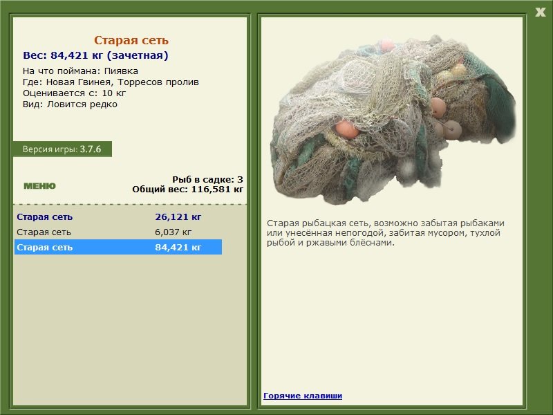 Старая сеть 