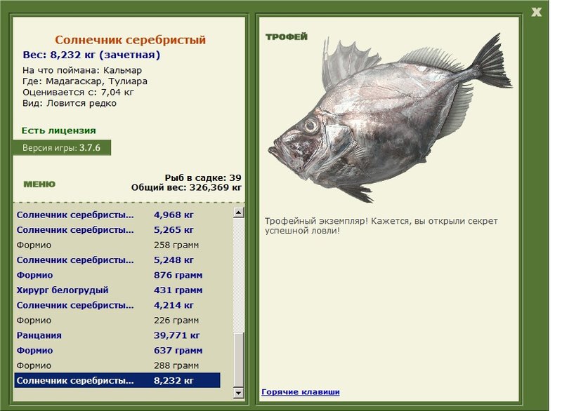 Солнечник серебристый 