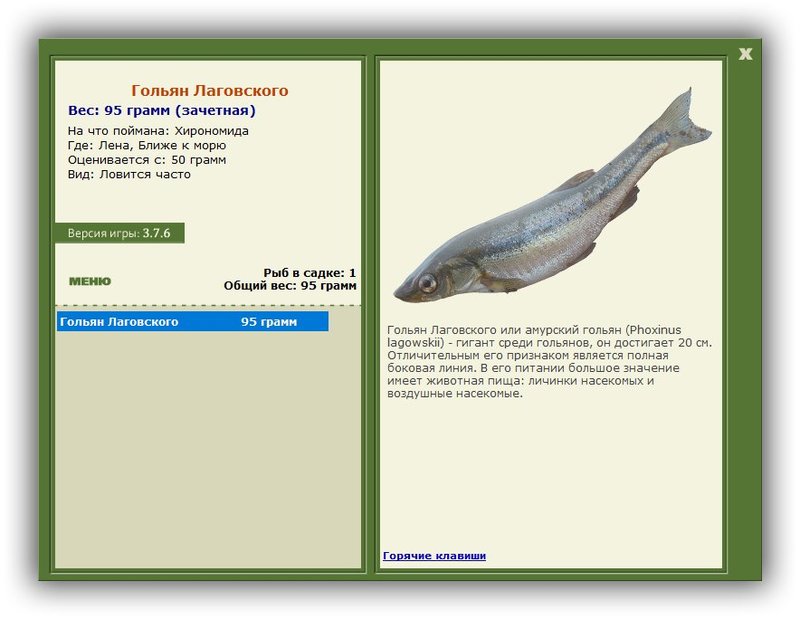 Ближе к морю 