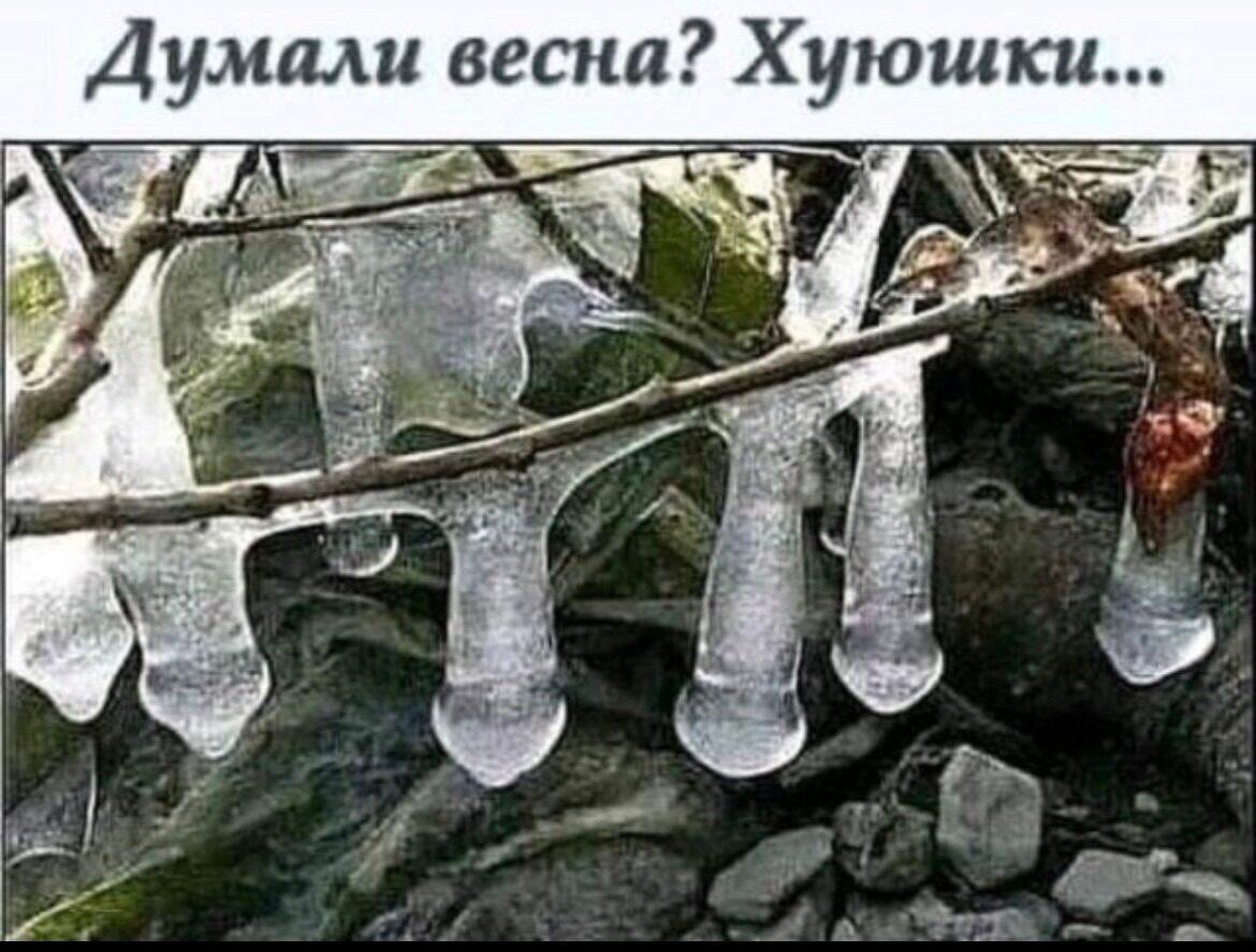 Думали Весна херушки