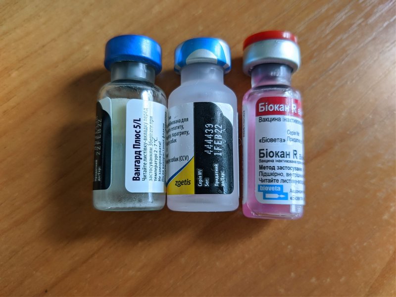 Финансовый отчет Ники 