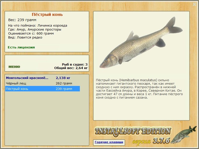 Амурские просторы 