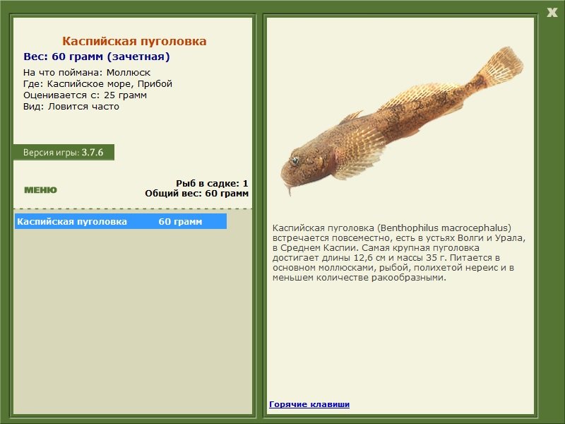 Прибой 