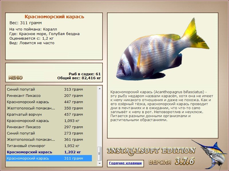 Голубая бездна 