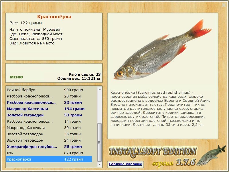 Разводной мост 