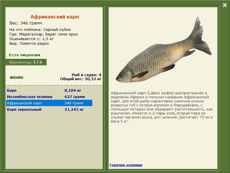 Берег семи крыс 