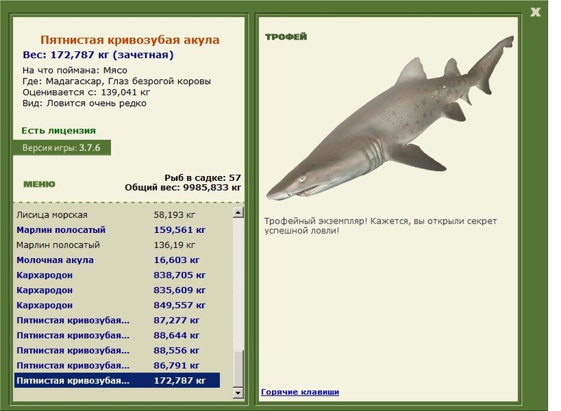 Пятнистая кривозубая акула 