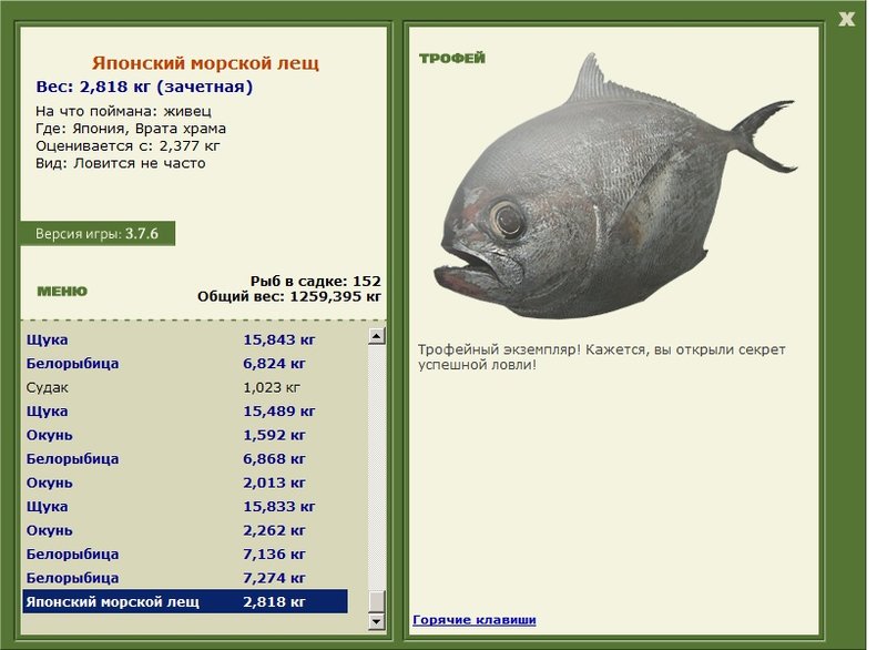 Японский морской лещ 