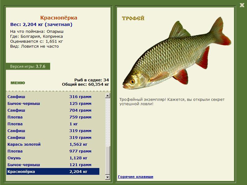 Краснопёрка 