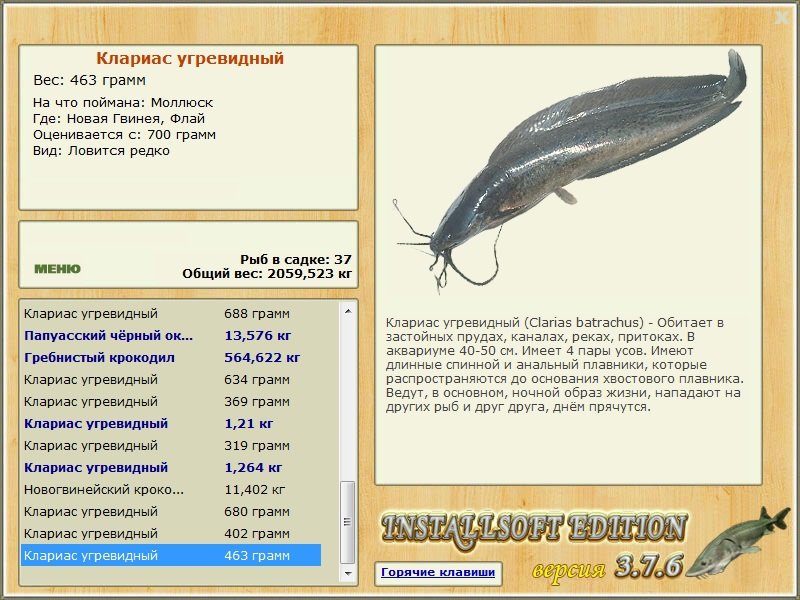 Флай 