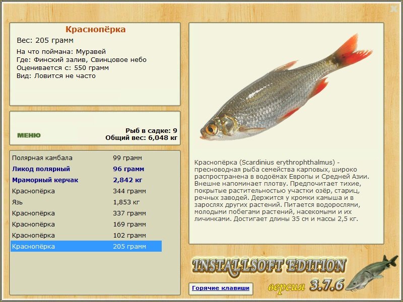 Свинцовое небо 
