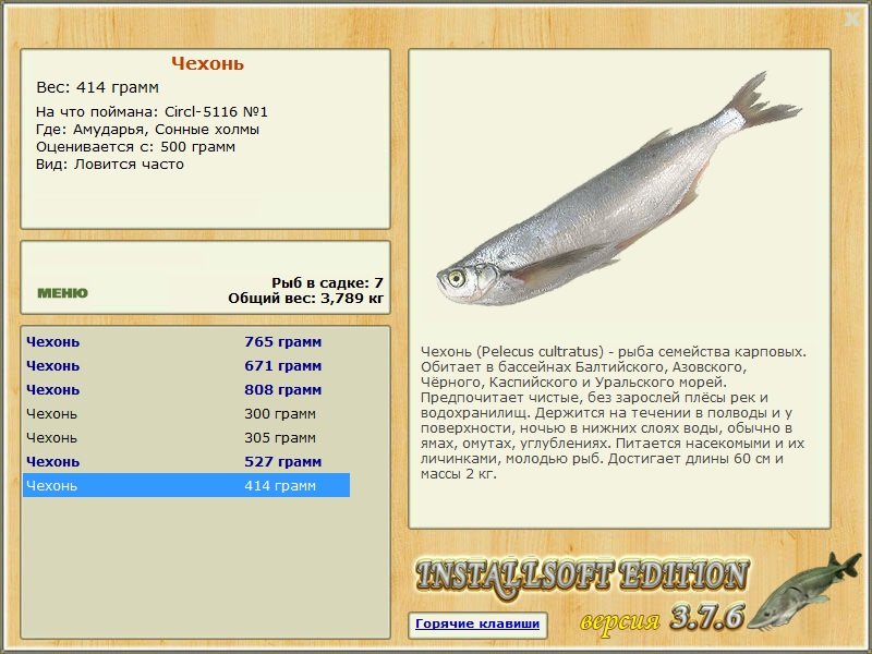 Сонные холмы 
