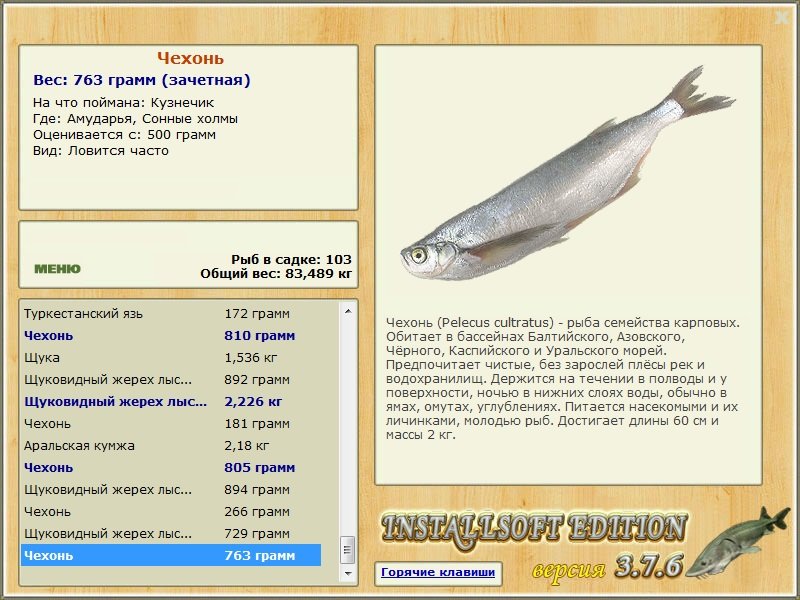 Сонные холмы 