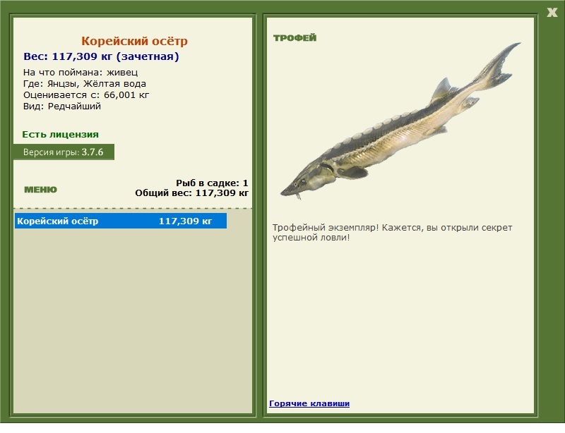 Корейский осётр 