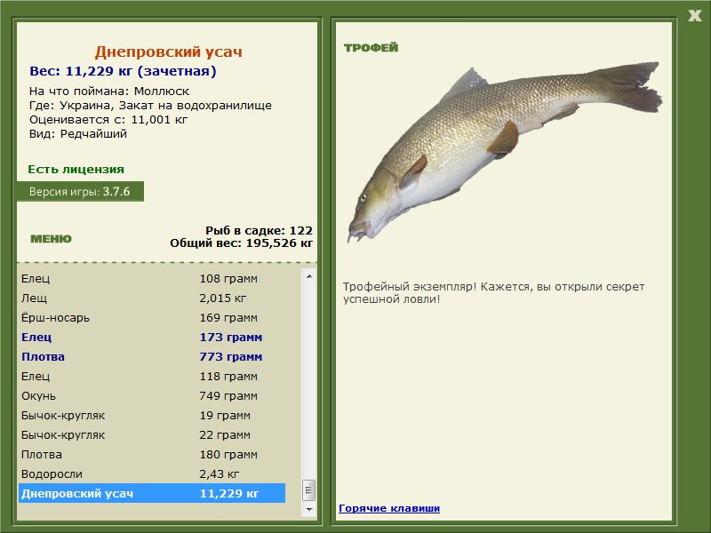 Днепровский усач 
