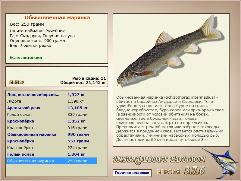 турниры • РУССКАЯ РЫБАЛКА