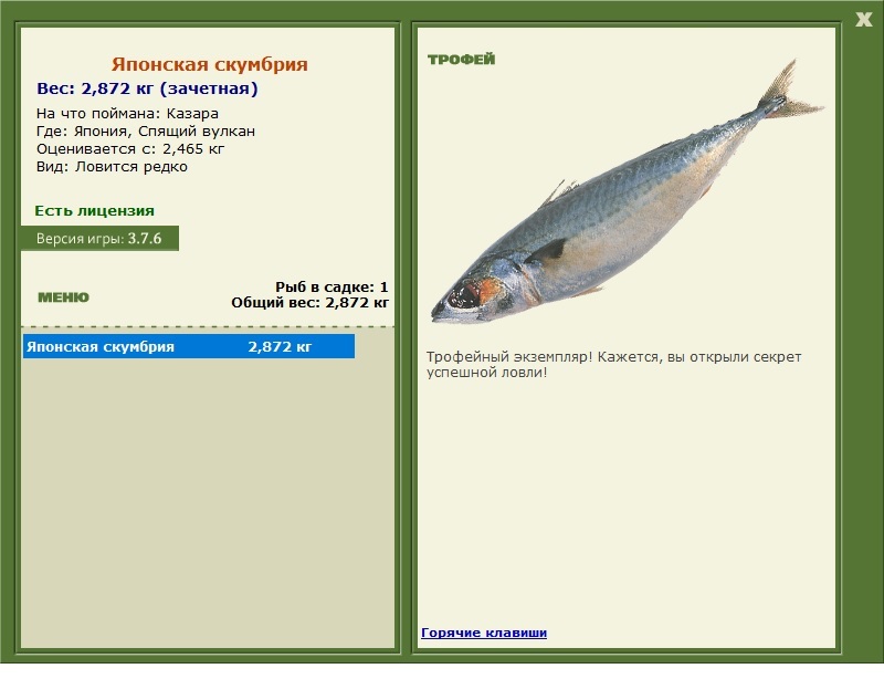 Японская скумбрия 