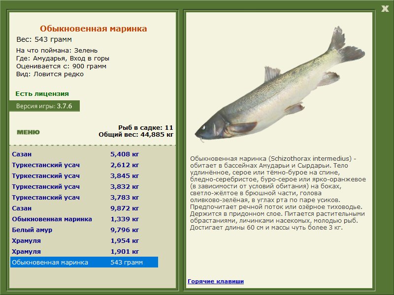 Вход в горы 