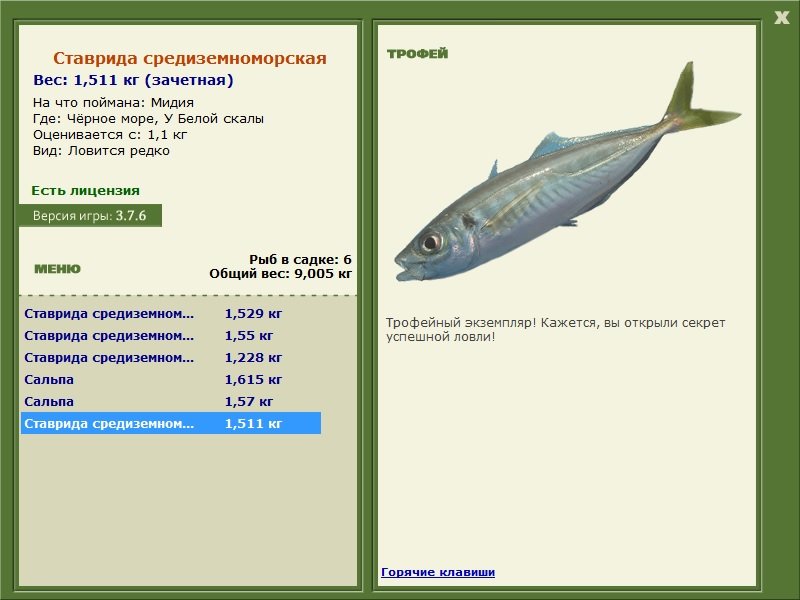 У Белой скалы 