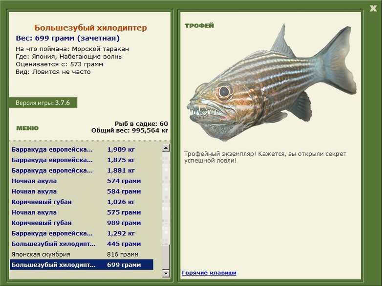 Большезубый хилодиптер 