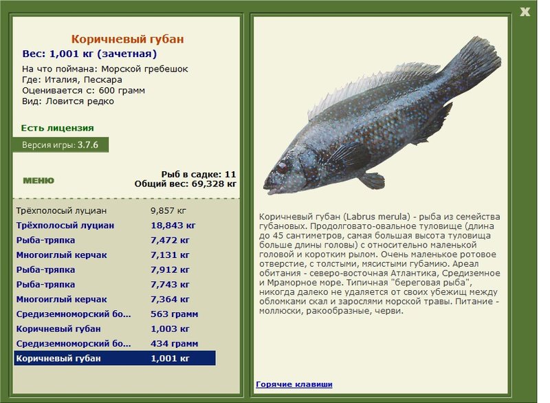 турниры • РУССКАЯ РЫБАЛКА