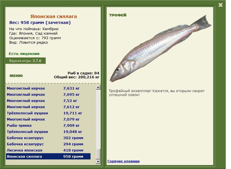 Японская силлага 