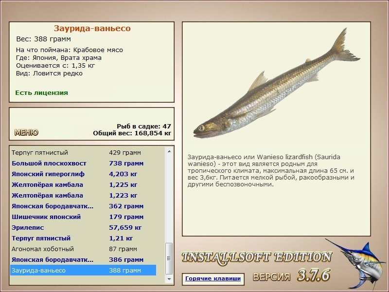 турниры • РУССКАЯ РЫБАЛКА