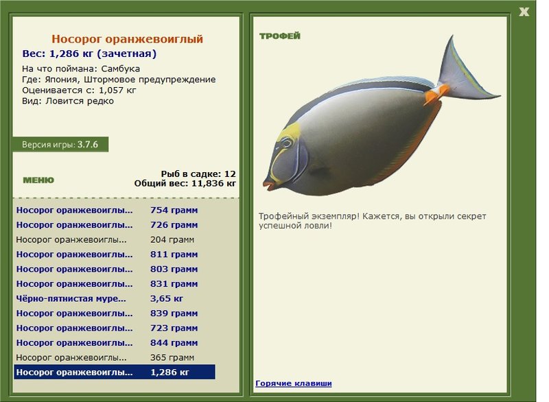 Носорог оранжевоиглый 