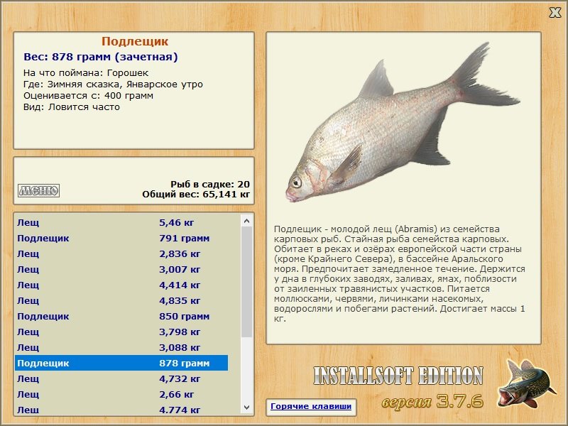 Январское утро 