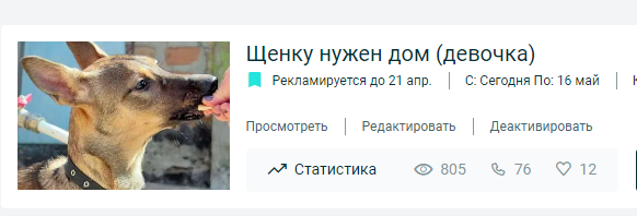 ка с 10.03.2021) • Финансовые отчеты животных ВОЛОНТЕРОВ
