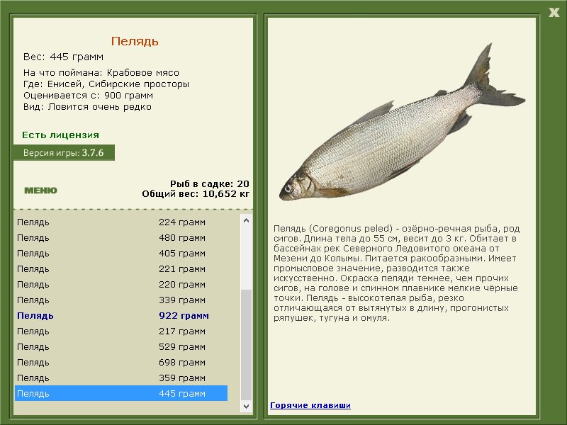 Сибирские просторы 