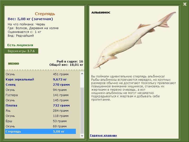 Деревня на холме 