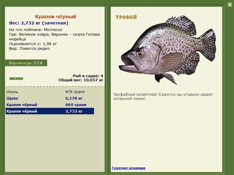 Краппи чёрный 