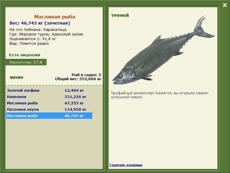 Аденский залив 