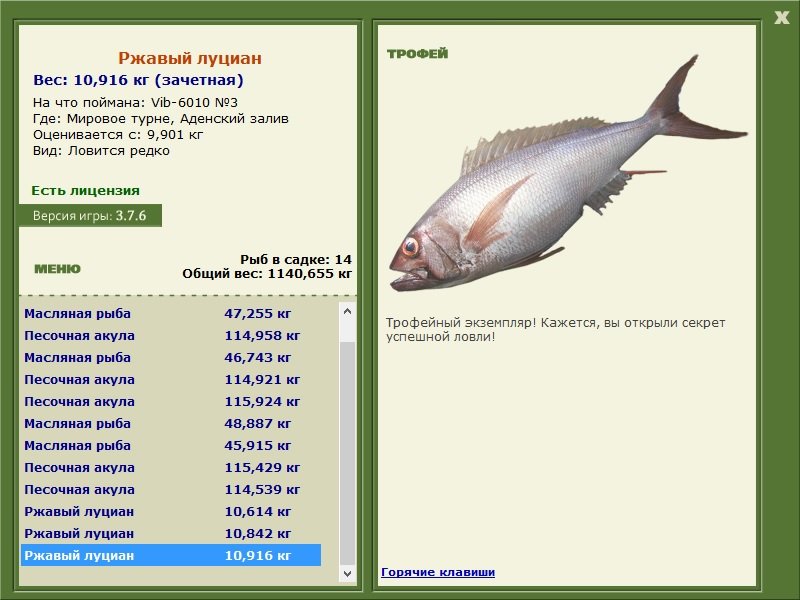 Ржавый луциан 