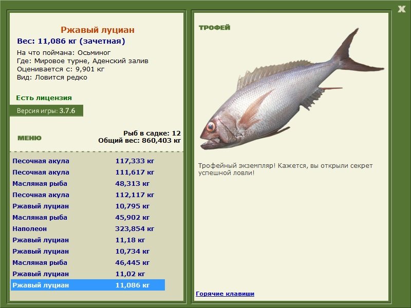 Ржавый луциан 