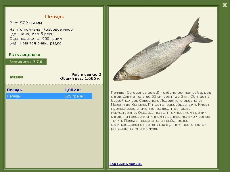 Изгиб реки 