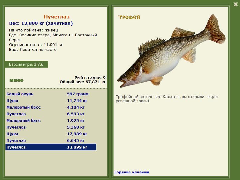 Пучеглаз 