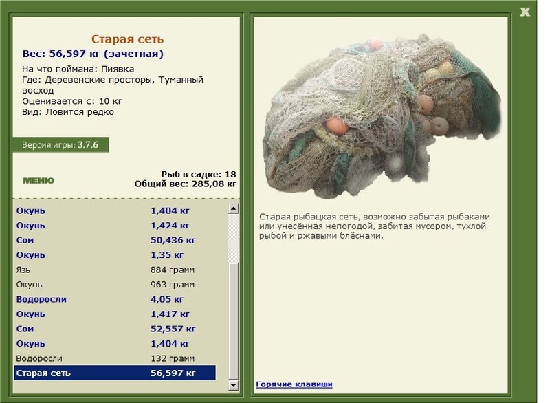 Старая сеть 