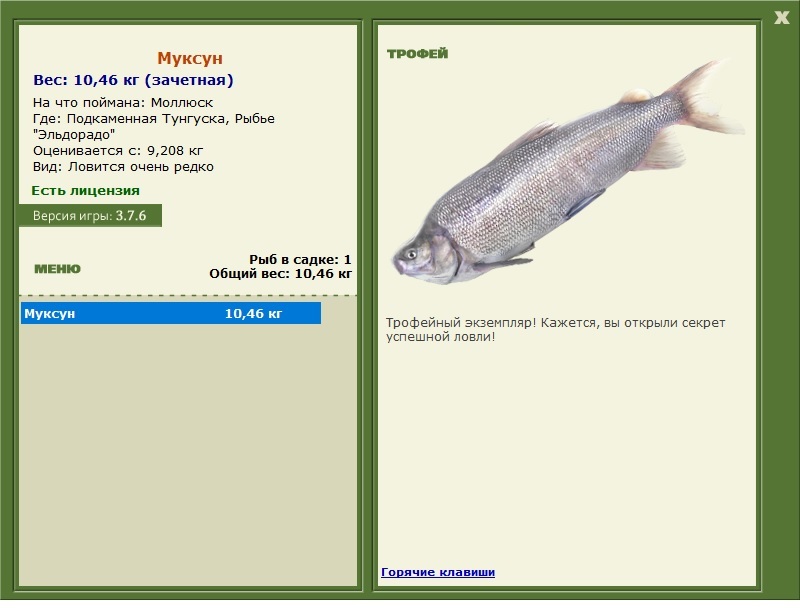 Муксун 