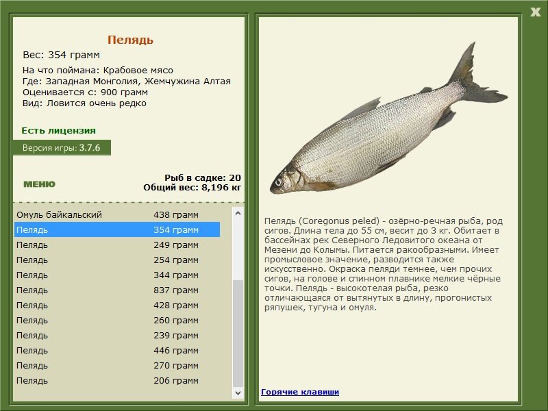 турниры • РУССКАЯ РЫБАЛКА