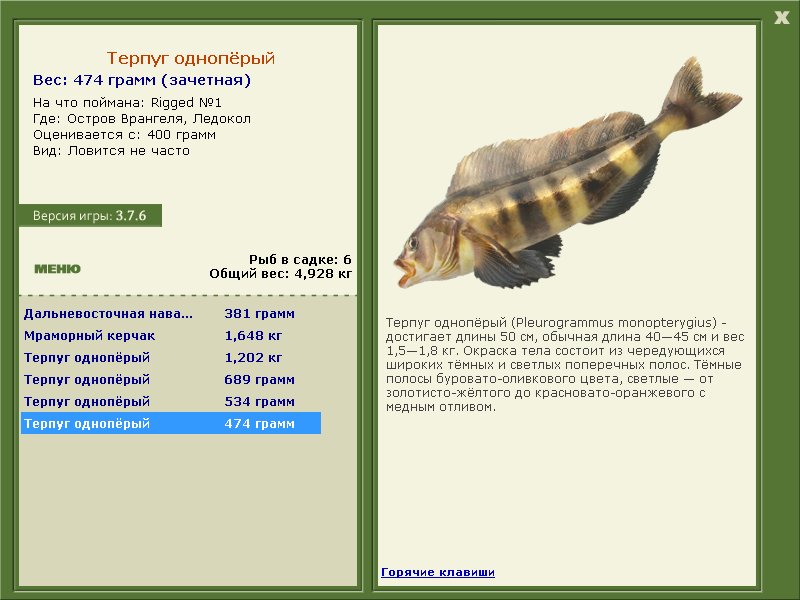 Ледокол 