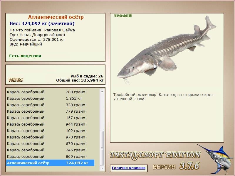 Дворцовый мост 