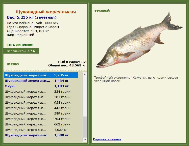 Рядом с морем 
