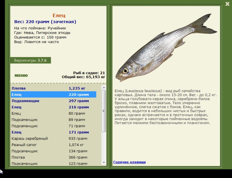 Питерские этюды 