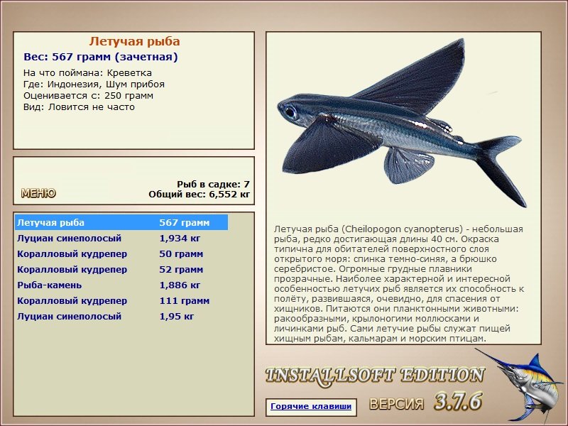 РУССКАЯ РЫБАЛКА Installsoft Edition 