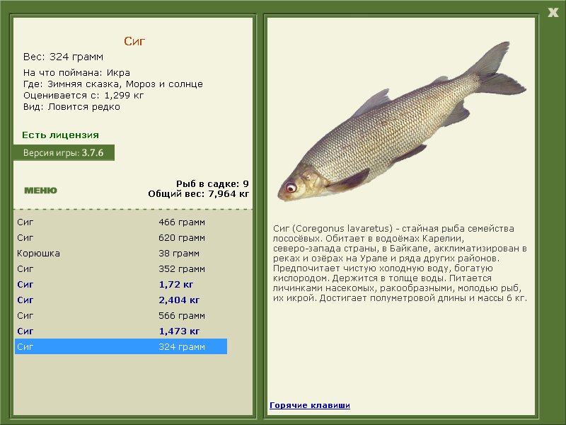 Мороз и солнце 
